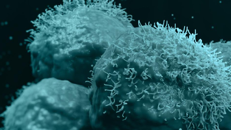 More Sensitive Cell Therapy May Be a HIT Against Solid Cancers